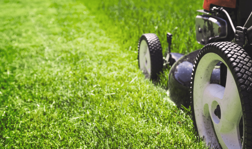 LAWN MOWING