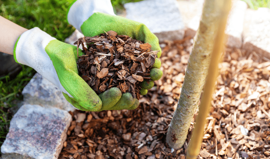 Meraki Tree Care and Landscaping